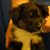 Dozer