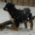 Dozer - Available