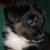 Sooki