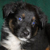 Sooki